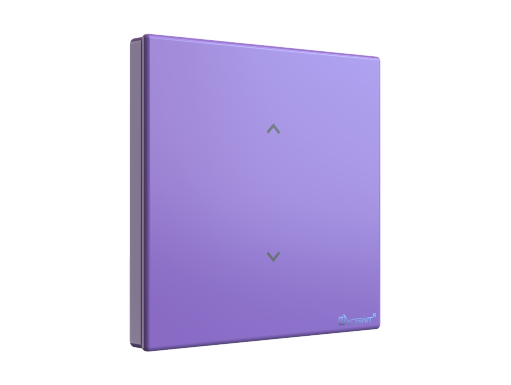 Smart Curtain Switch