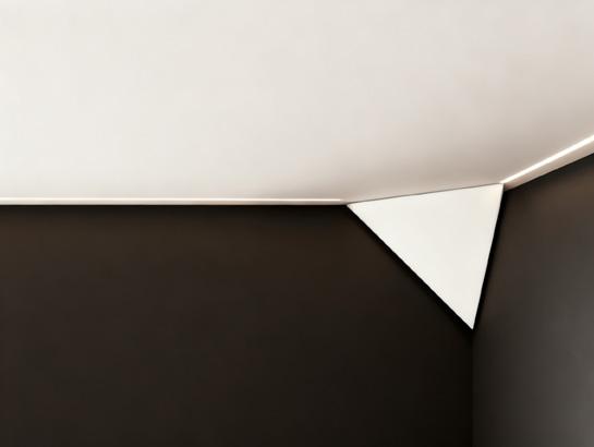 Radar Sensor (Triangle) 24G Radar Sensor (Triangle) 24G