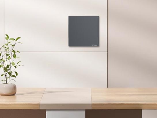 Smart 2 Way Switch - 1 Gang / 2086s