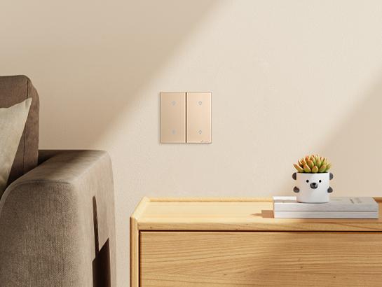 Smart 0-10V Dimmer Switch - 2 Gang / 2086s