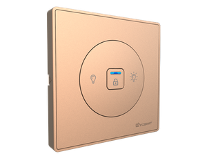 Smart 0-10V Dimmer Switch - 1 Gang / Socket 55-GOL